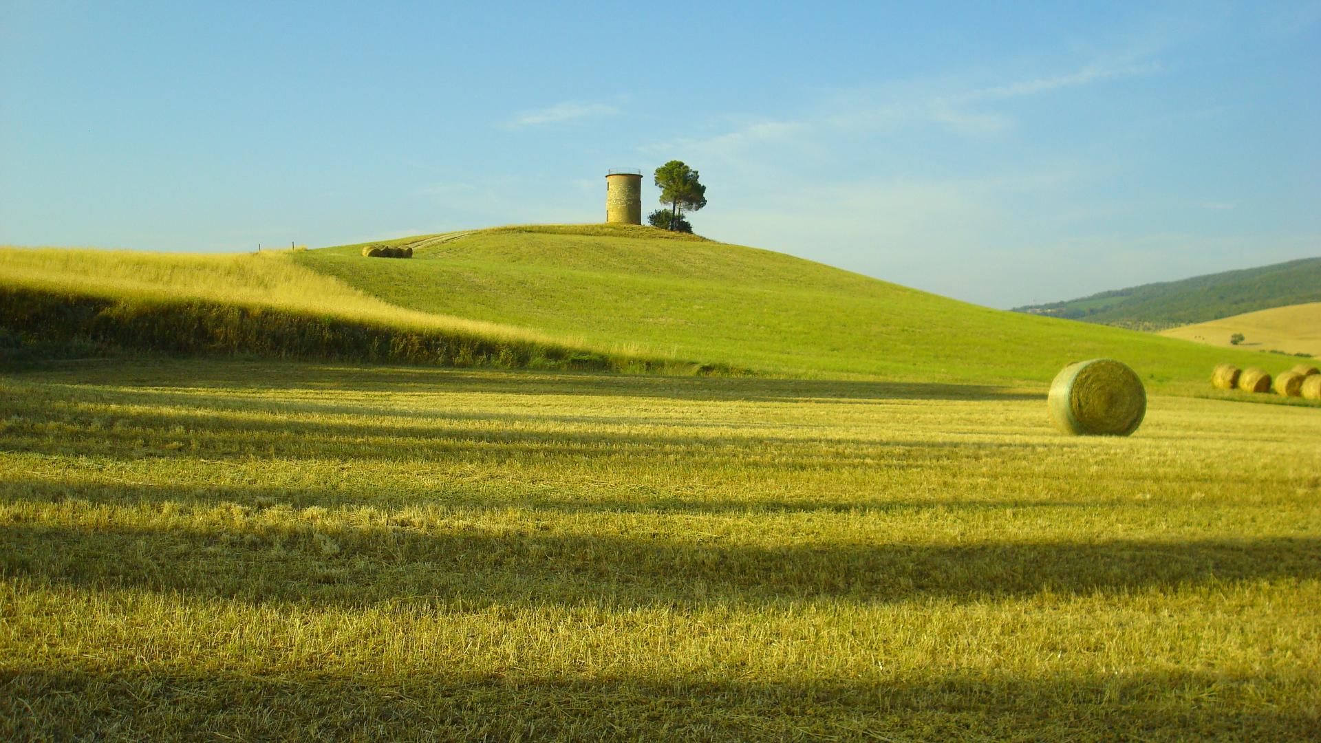 casale-target.jpg - 304,67 kB